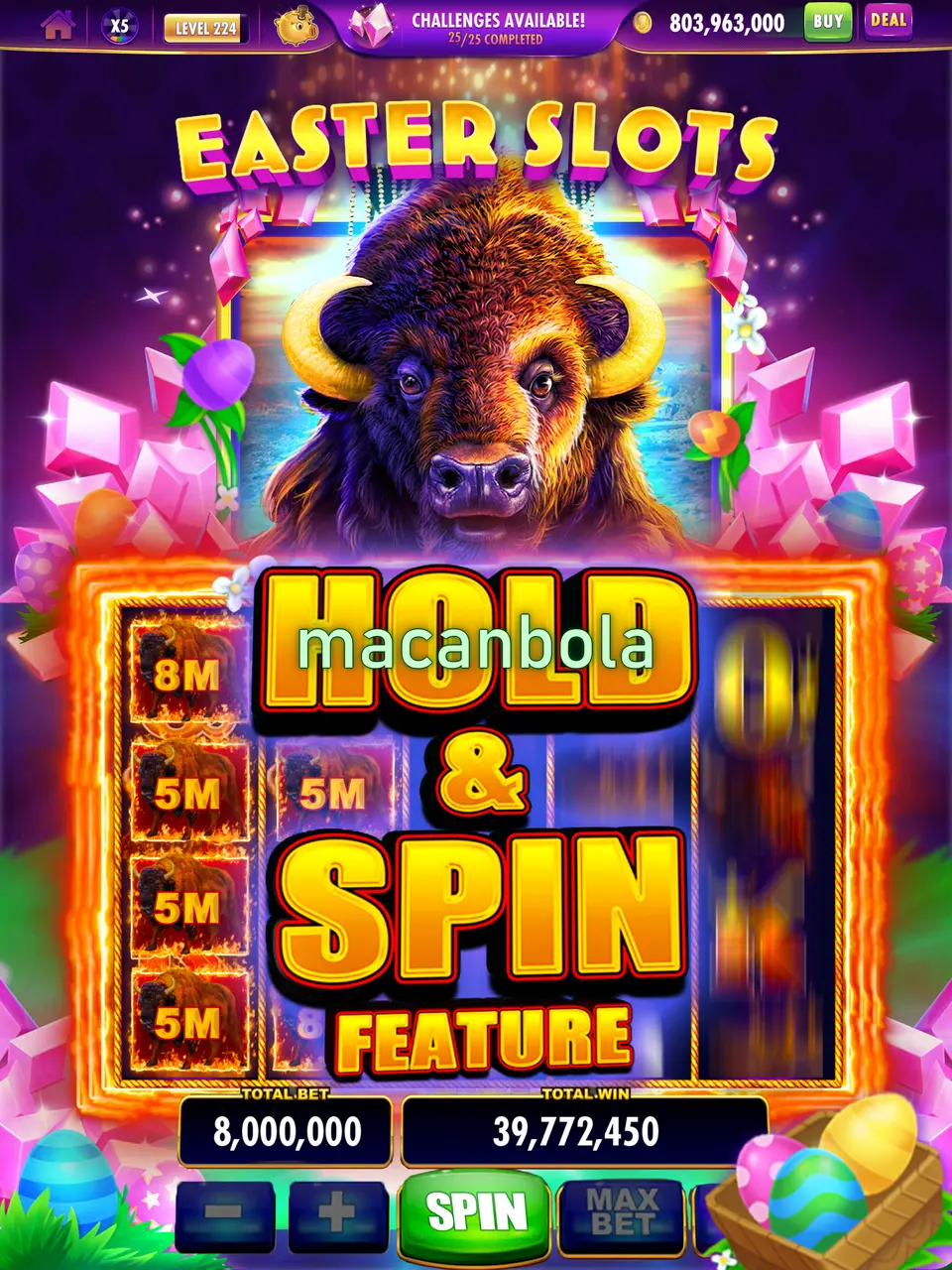 macanbola APK
